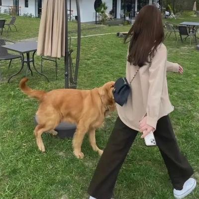 人生密密缝